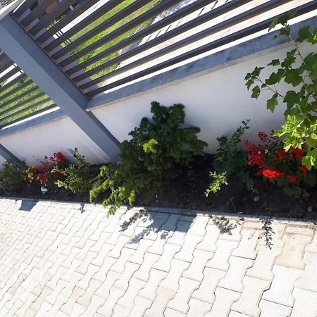 Apartament Saguna Sînnicolau Mare Extérieur photo
